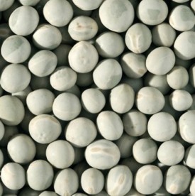 Tavaszi borsó - Impuls