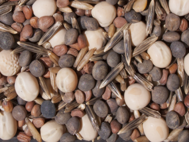 Tillage retek keverék