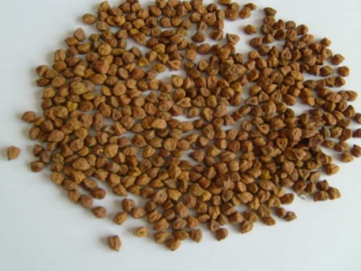 Csicseriborsó - Bori