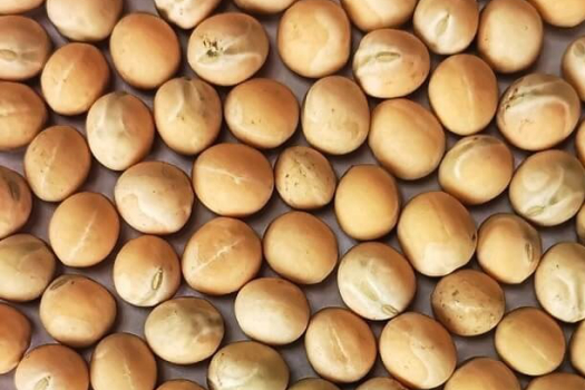 2025-ös aprómag árlistánk már elérhető!